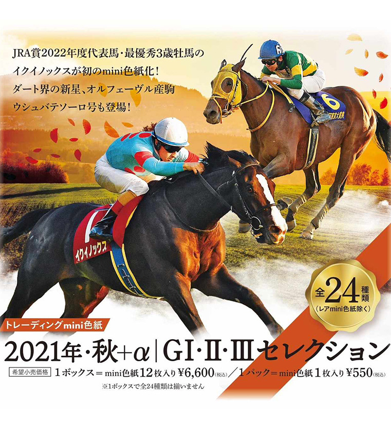 名馬 生写真 写真集 レース写真 種牡馬 競走馬 アルバム 競馬 - その他